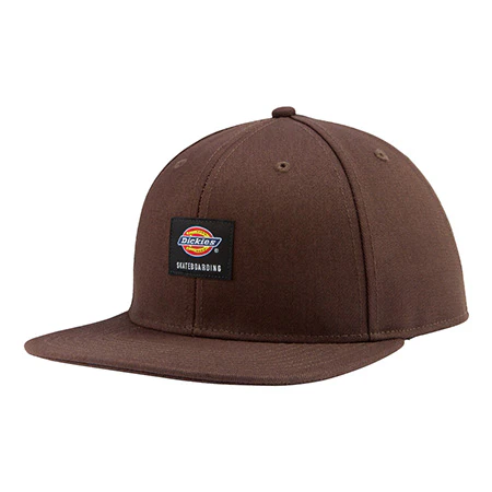 Dickies Flatbill Skate Snap-Back Hat - Image 3